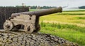 Vintage cannon located on a large rock near the shoreline, with a metal fence to the side Royalty Free Stock Photo