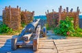 The vintage cannon in Zaporozhian Sich scansen, Khortytsia Island, Ukraine