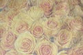 Vintage canvas background