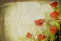 Vintage canvas background