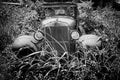 Vintage Car Decaying in Weeds