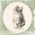 Vintage card with fluffy kitten.