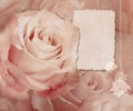Vintage card with pink roses