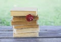 Vintage card with stack of old books and rose flower outdoors Royalty Free Stock Photo