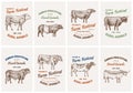 Vintage cards. Farm cattle bulls and cows. Different breeds of domestic animals. set of posters. Engraved hand drawn Royalty Free Stock Photo