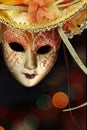 Vintage carnival mask