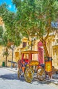 The vintage carriage in Mdina, Malta