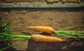 Vintage carrot Royalty Free Stock Photo