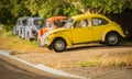 Vintage Cars In Afternoon Sunshine