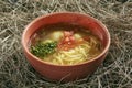 Vintage Ceramic Bowl of Homemade Noodle Soup Arishta