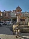 Vintage Chabutro or pigeon feeder and stray cow food spot near house at old part of Idar town Sabarkantha Gujarat