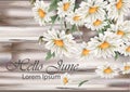 Vintage chamomile bouquet Vector. Spring floral decor on old grunge backgrounds