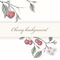 Vintage cherry background