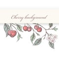 Vintage cherry background