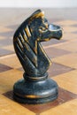 Vintage chess knight Royalty Free Stock Photo
