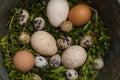 Chicken,turkey and quail eggs in a copper bowl