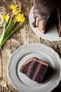 Vintage chocolate cake with blueberry cream