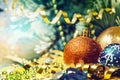Vintage card. Colorful Christmas decorations on the background of fir branches Royalty Free Stock Photo
