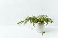 Vintage Christmas decoration made from natural evergreen twigs. Copy space