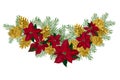 Vintage Christmas garland with golden pine cones and red poinsettia isolated on white background Royalty Free Stock Photo