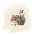 Vintage Christmas greeting card, Cute hedgehog illustration