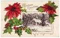 Vintage Christmas Greeting Postcard Poinsettias