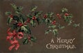 Vintage Christmas Postcard Greeting card, holly, pointsettia