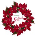 Vintage Christmas wreath with red poinsettia isolated on white background