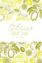 Vintage citrus banner template. Lemon tree design. Hand drawn vector fruit illustration. Engraved style menu cover Royalty Free Stock Photo