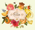 Vintage citrus banner Royalty Free Stock Photo