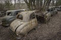 Vintage and classic cars decaying for for decades in nature