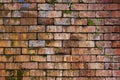 Vintage clay brick wall with cracks, scum, moss and salt oozing from
