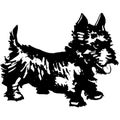 Vintage Clipart 260 black russian scottish cairn or westie terrier