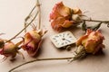 Vintage clock dial with dry roses Royalty Free Stock Photo