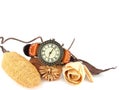 Vintage Clock and Dry flower Royalty Free Stock Photo