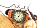 Vintage Clock and Dry flower Royalty Free Stock Photo
