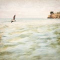 Vintage Coastal Seascape