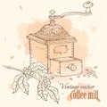 Vintage coffee mill with beans and coffee tree brunch, hand drawn vector illustration Royalty Free Stock Photo