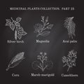 Vintage collection of hand drawn medical herbs and plants