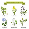 Vintage collection of hand drawn medical herbs and plants Royalty Free Stock Photo