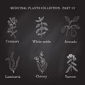 Vintage collection of hand drawn medical herbs and plants Royalty Free Stock Photo