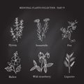 Vintage collection of hand drawn medical herbs and plants hyssop, immortelle, pea, mallow, wild, strawberry, liquorice