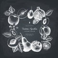 Ripe fruits design on chalkboard