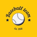 Vintage color baseball championship logo or badge
