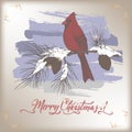 Vintage color Christmas card with cardinal bird on mailbox, pine branch and holiday brush lettering