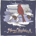 Vintage color Christmas card with cardinal bird on mailbox, pine branch and holiday brush lettering on blue background