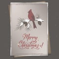 Vintage color Christmas A4 format greeting card with cardinal bird on mailbox, pine branch and holiday brush lettering