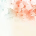 Vintage color flowers in soft and blur style on mulberry paper texture Royalty Free Stock Photo