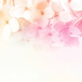 Vintage color flowers in soft and blur style on mulberry paper texture Royalty Free Stock Photo