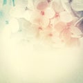 Vintage color flowers in soft and blur style on mulberry paper texture Royalty Free Stock Photo